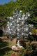 Thailand: A silver Bo Tree at Wat Lok Moli, Chiang Mai